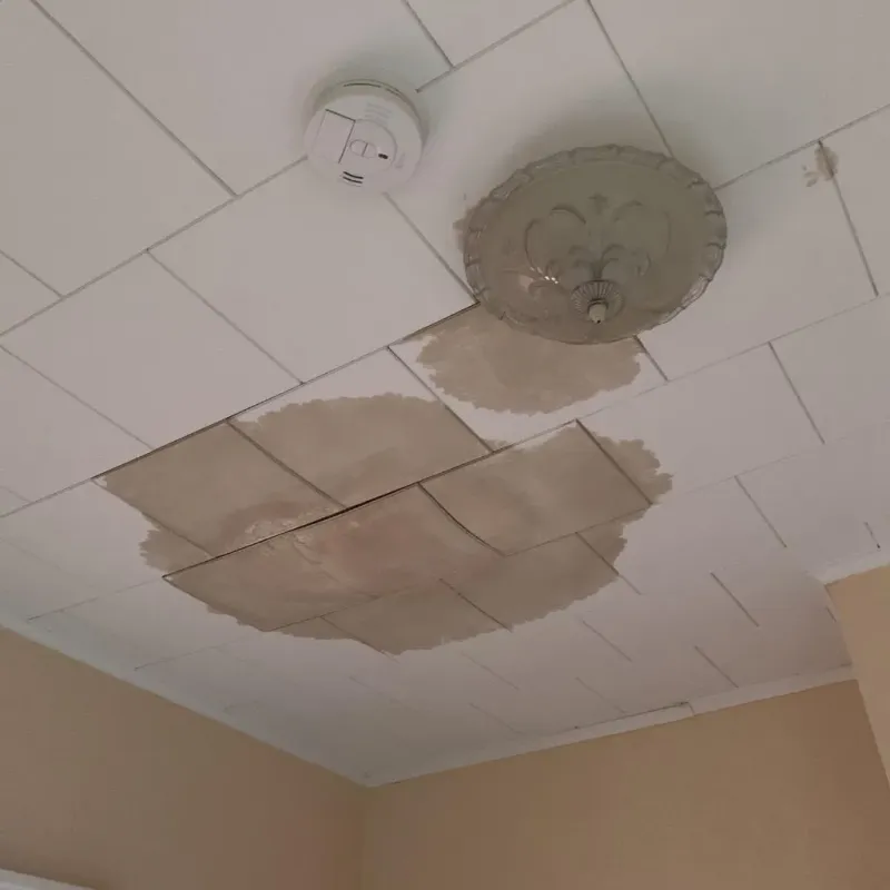 Ceiling Water Damage Repair in West Elsdon, IL