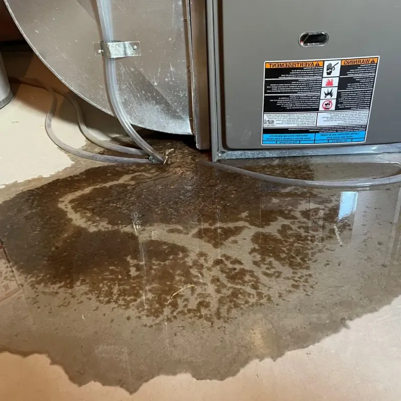 Pipe Burst and Leak Restoration in West Elsdon, IL